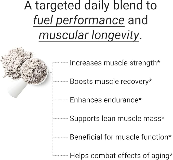 FLT Muscle Performance Supplement for Muscle Strength & Recovery with Clinically Proven Ingredients: Plant-Based Peptides, Creatine, L-Glutamine, Magnesium, Zinc & Electrolytes – 30 Servings | Vegan