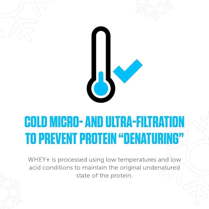 LEGION Whey+ Protein Whey Isolate from Grass Fed Cows - Whey Protein Isolate Powder Low Calorie, Non-GMO, Sugar Free, Lactose and Gluten Free, All Natural Protein Powder for Men & Women (60 Servings)