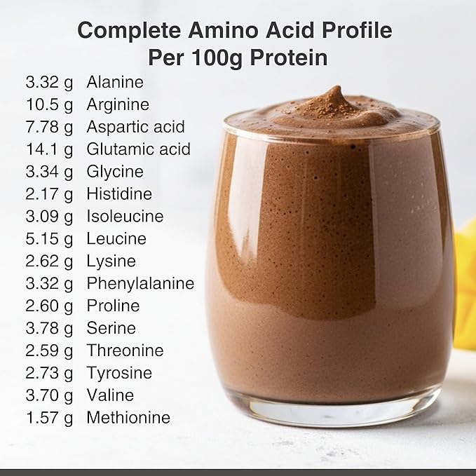Organic Hemp Protein Powder, Plant Based and Vegan Protein Shake, Lactose and Dairy Free, Gluten Free, Clean and Natural- Chocolate (1 Serving)