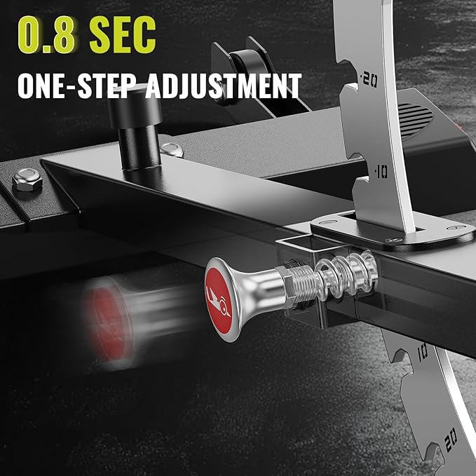 FLYBIRD Strength Training Bench for Home Gym, Adjustable Weight Bench can be Folded for Storage/Vertical Storage, Space-Saving Workout Bench