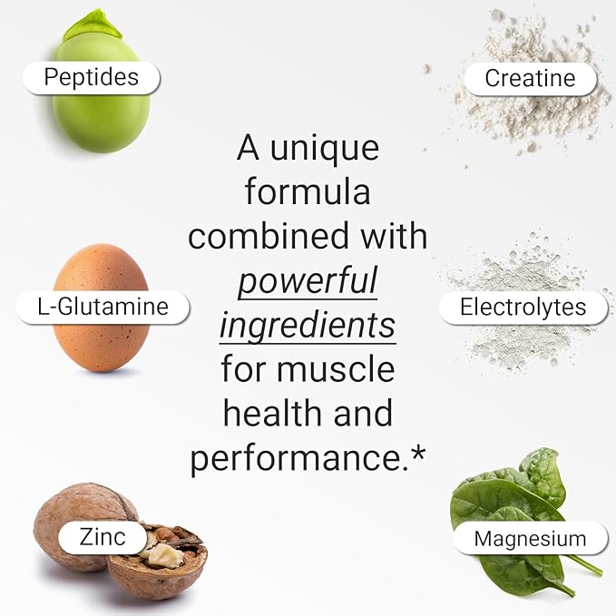 FLT Muscle Performance Supplement for Muscle Strength & Recovery with Clinically Proven Ingredients: Plant-Based Peptides, Creatine, L-Glutamine, Magnesium, Zinc & Electrolytes – 30 Servings | Vegan