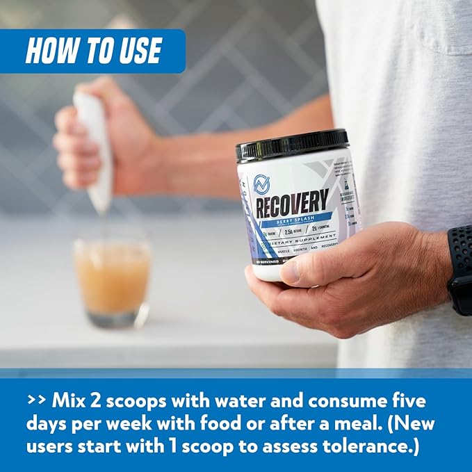 Outwork Nutrition Post Workout Recovery Powder - Creatine Monohydrate, KSM-66 Ashwagandha & Tart Cherry - Speeds Recovery, Eases Soreness - Creatine Powder for Men & Women, Berry Splash, 240 Gr