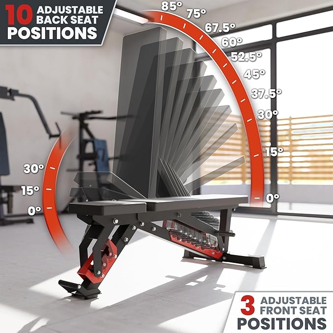 Synergee Adjustable Wing Back Workout Bench. Weight Bench for Dumbbell & Barbell Press Exercises & Workouts. Great for Commercial, Garage and Home Gym.