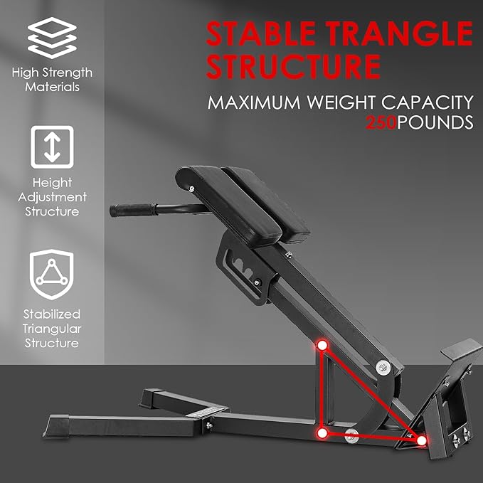 FANATICS Roman Chair Back Extension Machine Hyperextension Bench Reverse Hyper Lower Back Exercise Equipment Multi-Functional Core and Glute Workout Bench for Home Gym