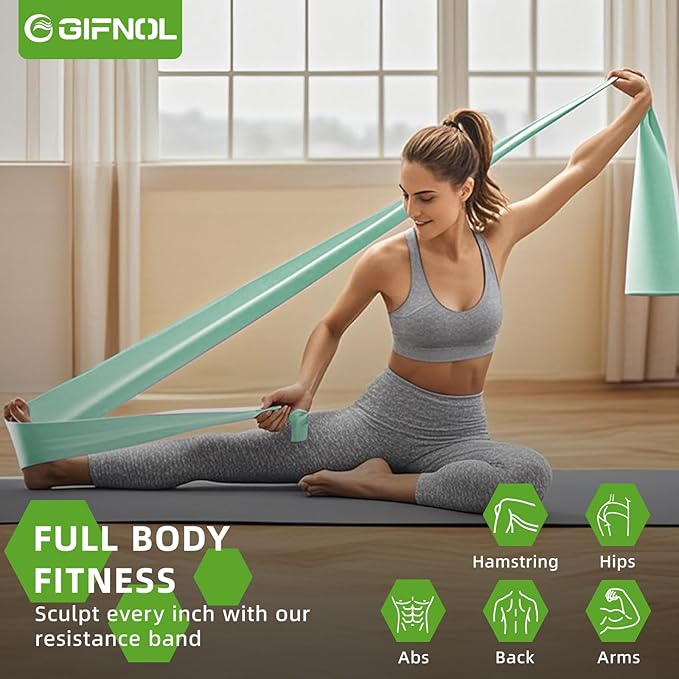 Pilates Ring and Ball Set with Resistance Bands - Pilates Equipment for Home Workout - 14'' & 12'' Pilates Rings, 2 Pilates Balls, 5 Resistance Bands for Toning Arms, Thighs/Legs & Core