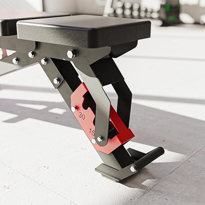 Synergee Adjustable Wing Back Workout Bench. Weight Bench for Dumbbell & Barbell Press Exercises & Workouts. Great for Commercial, Garage and Home Gym.