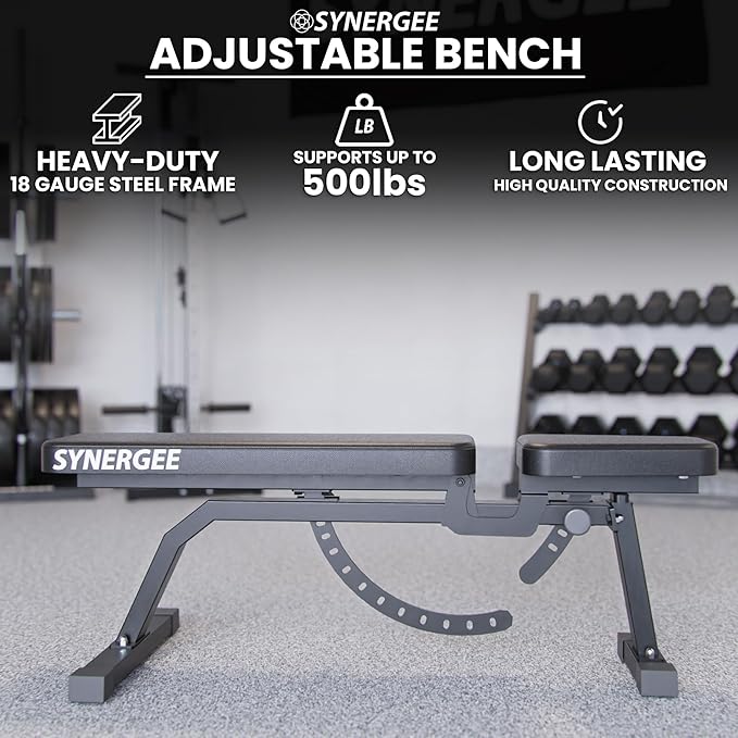 Synergee Adjustable Incline Workout Bench. Weight Bench for Dumbbell & Barbell Press Exercises & Workouts. Great for Commercial, Garage and Home Gym.