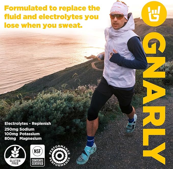 Gnarly Nutrition Hydrate Electrolyte Powder – Lemonade Exercise Hydration Drink Mix – NSF Sport Certified – Electrolyte Solution, Performance & Recovery – Lemonade, 14.10 oz