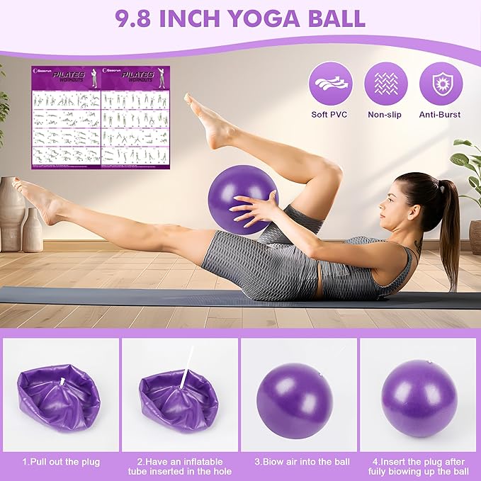 Pilates Ring Set with Resistance Bands Set, Pilates Ball, Sliding Disks β Workout Equipment Home Gym Includes Complete Fitness Poster