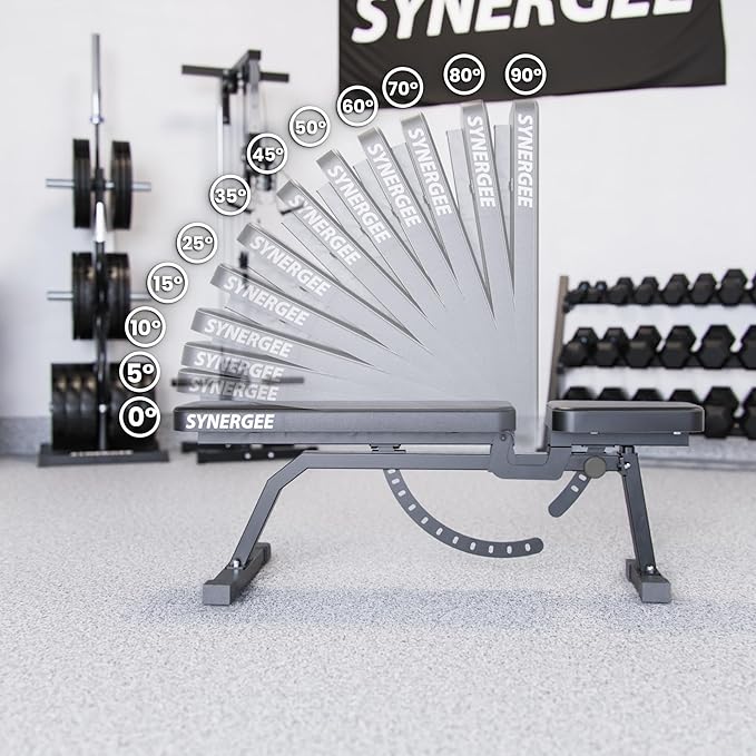 Synergee Adjustable Incline Workout Bench. Weight Bench for Dumbbell & Barbell Press Exercises & Workouts. Great for Commercial, Garage and Home Gym.