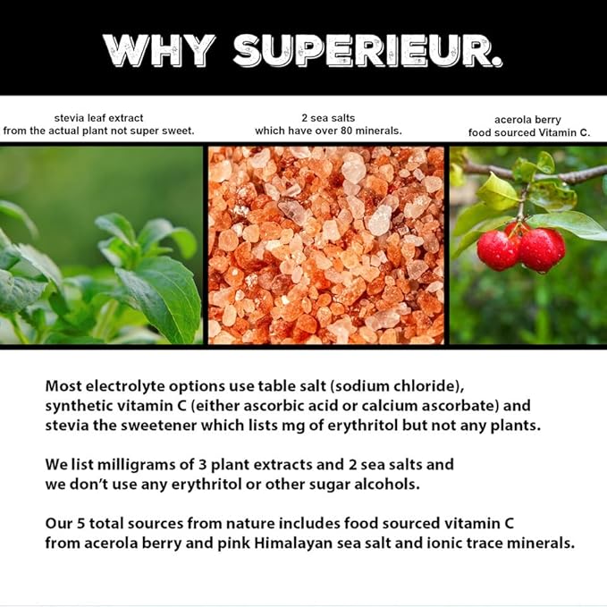 Superieur Electrolyte Powder Packets - Vegan Electrolyte Hydration Powder w/Sea Minerals - Keto Friendly, Non-GMO, Zero Sugar Electrolyte Supplement-Healthy Sports Drink -Sampler Pack (20 Packets)