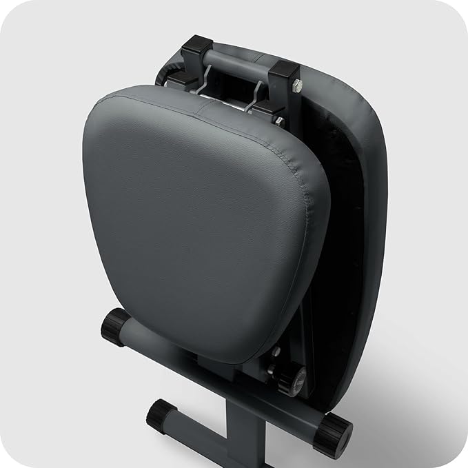 WeGym Fitness Bench, Adjustable, Collapsible, Comfortable, and Luxurious Home Gym Bench for Strength Training