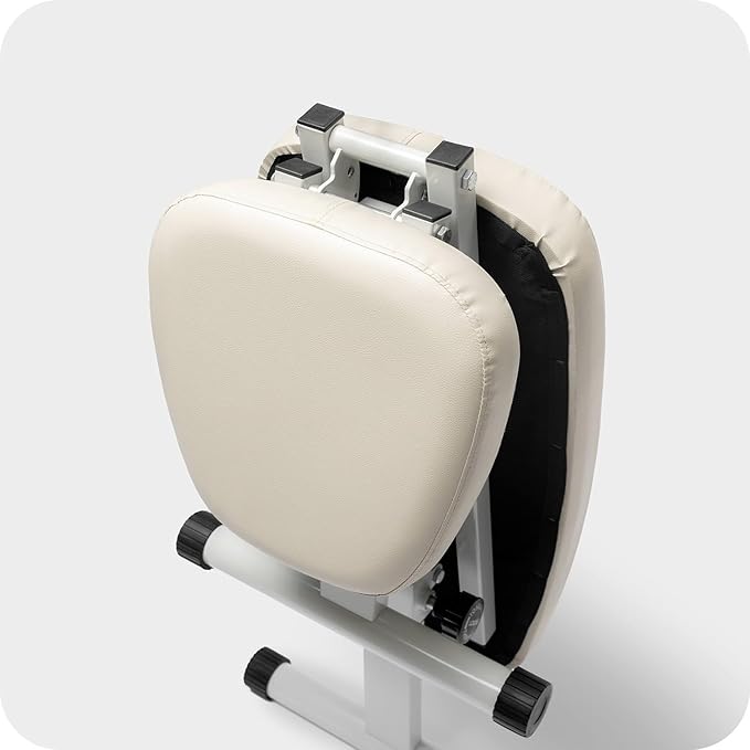 WeGym Fitness Bench, Adjustable, Collapsible, Comfortable, and Luxurious Home Gym Bench for Strength Training