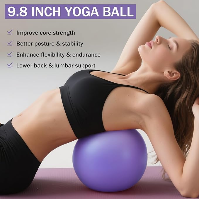 Home Pilates Essentials Kit for Women Pink Ring and Ball Pilates Set Equipment, Magic Circle with 5 Resistance Bands Premium Accessories Kits for Starter Toning Workouts at Home