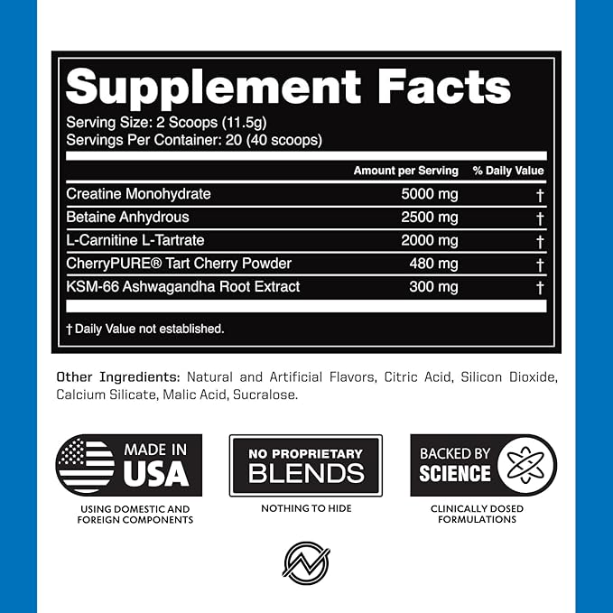 Outwork Nutrition Post Workout Recovery Powder - Creatine Monohydrate, KSM-66 Ashwagandha & Tart Cherry - Speeds Recovery, Eases Soreness - Creatine Powder for Men & Women, Berry Splash, 240 Gr