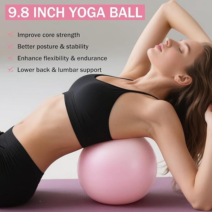 Home Pilates Essentials Kit for Women Pink Ring and Ball Pilates Set Equipment, Magic Circle with 5 Resistance Bands Premium Accessories Kits for Starter Toning Workouts at Home