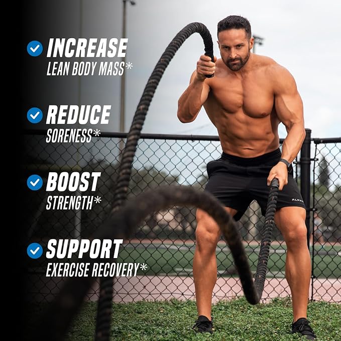 Outwork Nutrition Post Workout Recovery Powder - Creatine Monohydrate, KSM-66 Ashwagandha & Tart Cherry - Speeds Recovery, Eases Soreness - Creatine Powder for Men & Women, Berry Splash, 240 Gr