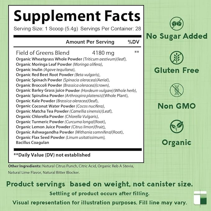 Field of Greens Superfood Powder with Organic Spirulina, Chlorella, Beet Root Powder - Bacillus Coagulans Probiotic, A Plant-Based Mix Supporting Gut Health, Immunity, Bloom into Health, 28 Scoops (1)