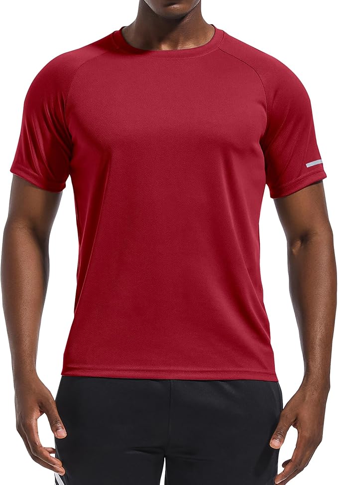 Holure Men's Mesh Quick-Dry Short Sleeve Workout T-Shirt