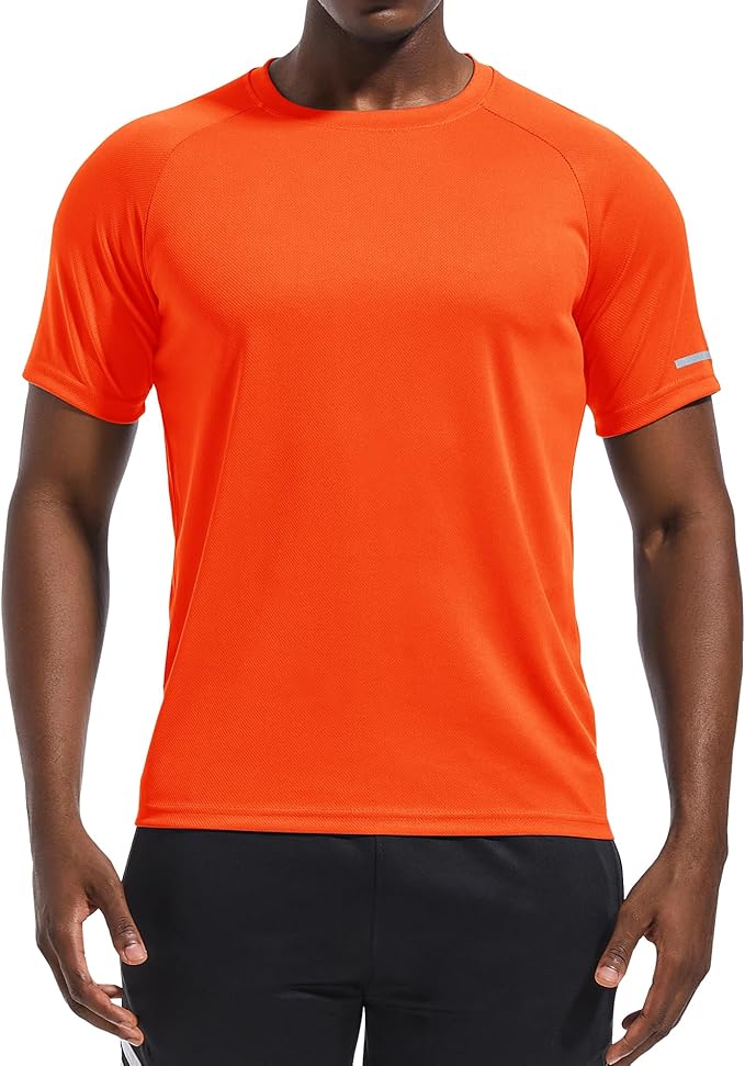 Holure Men's Mesh Quick-Dry Short Sleeve Workout T-Shirt