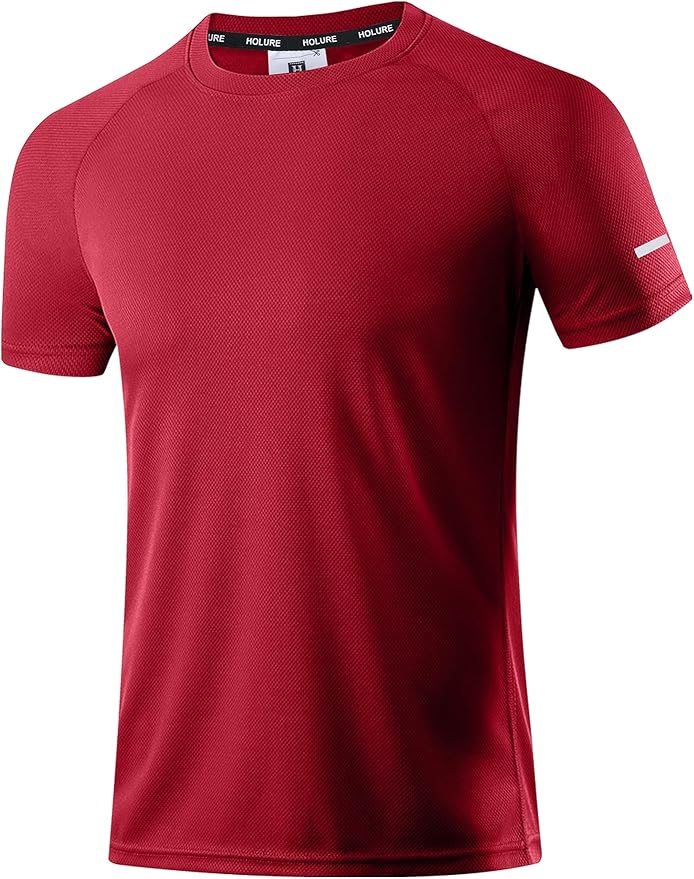 Holure Men's Mesh Quick-Dry Short Sleeve Workout T-Shirt