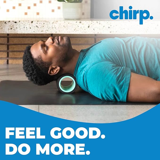 Chirp Wheel Foam Roller – Targeted Back & Neck Relief, Lumbar Spine Stretcher, Spinal Decompression Back Stretcher, Massage Roller with Density Foam for Physical Therapy, Supports 500lbs, 4-Inch Mint