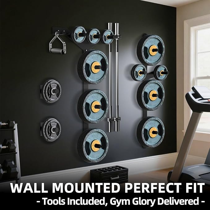Wall Mounted Weight Plate Rack, 6 Pegs & 4 Barbell Storage Rack, 1190 LBS Capacity Weight Plate Holder, Wall Mounted Bumper Plate Storage for Home Garage Gym, Fit 2" Olympic, Rubber Protection Pads