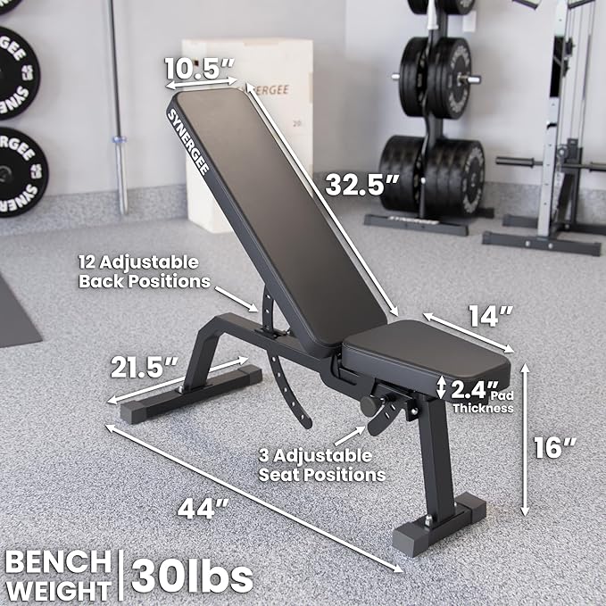 Synergee Adjustable Incline Workout Bench. Weight Bench for Dumbbell & Barbell Press Exercises & Workouts. Great for Commercial, Garage and Home Gym.