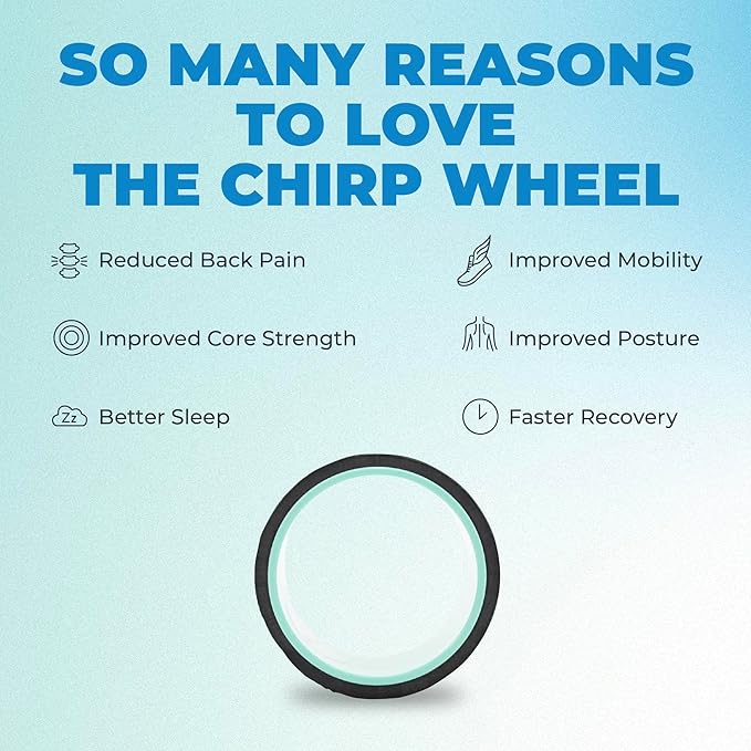 Chirp Wheel Foam Roller – Targeted Back & Neck Relief, Lumbar Spine Stretcher, Spinal Decompression Back Stretcher, Massage Roller with Density Foam for Physical Therapy, Supports 500lbs, 6-Inch Mint