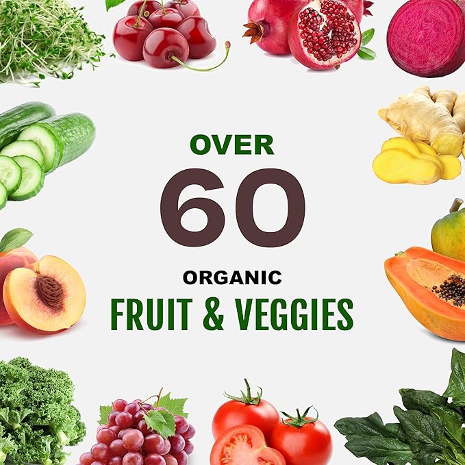 Vegan Sport Protein Powder Chocolate 20 servings – 30g Plant Based Protein, VELOSITOL, BCAAs, Organic Greens & Fruits, Probiotics, Tart Cherry for Post Workout Recovery, Inform Sports Certified Keto