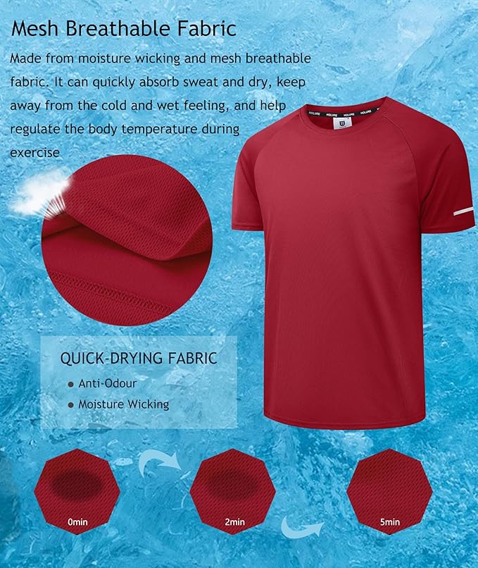 Holure Men's Mesh Quick-Dry Short Sleeve Workout T-Shirt