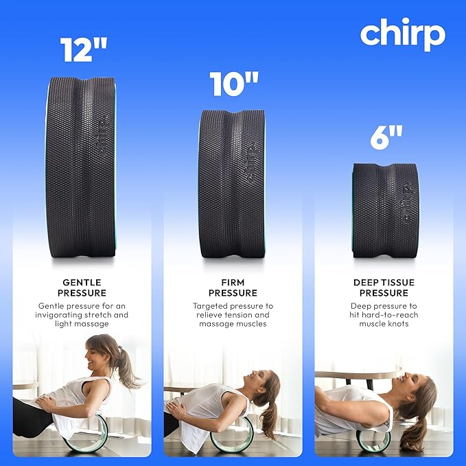 Chirp Wheel Foam Roller – Targeted Back & Neck Relief, Lumbar Spine Stretcher, Spinal Decompression Back Stretcher, Massage Roller with Density Foam for Physical Therapy, Supports 500lbs, 10-Inch Mint