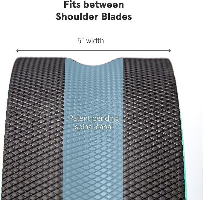 Chirp Wheel Foam Roller – Targeted Back & Neck Relief, Lumbar Spine Stretcher, Spinal Decompression Back Stretcher, Massage Roller with Density Foam for Physical Therapy, Supports 500lbs, 10-Inch Mint